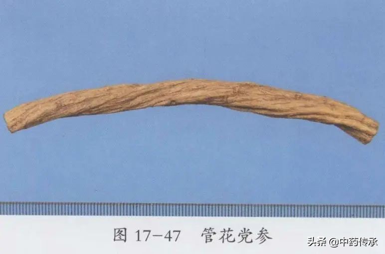 *党**参在市场上有哪些掺假现象？我们如何区分质量好坏？