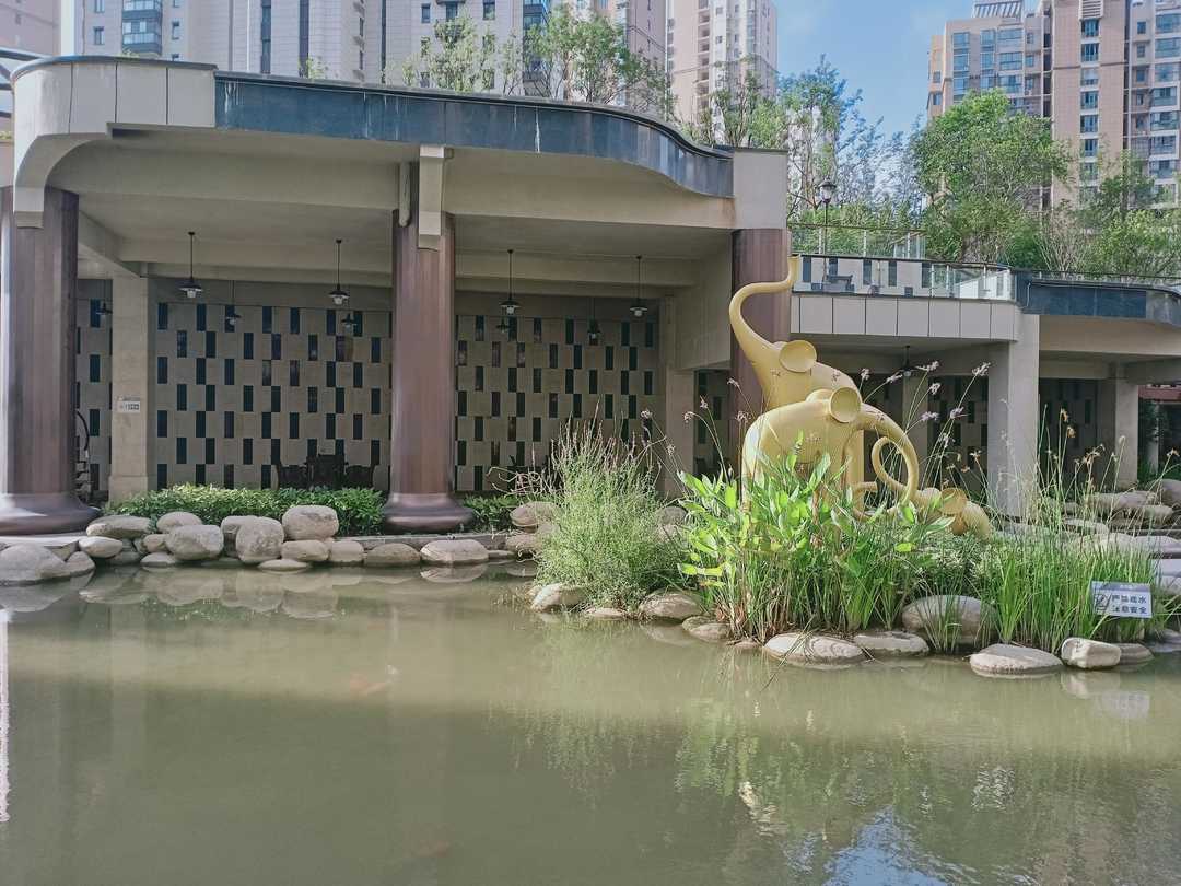 忆当初青春年少,再忆年少时已不再年少