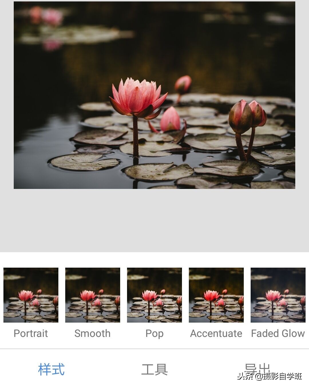 国画摄影照片,摄影怎么把图片弄成水墨画