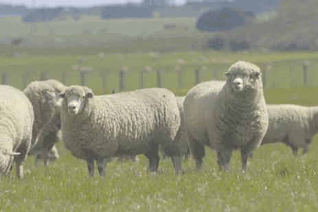 年年入冬脚就干裂有什么方法治好,想长寿养好背