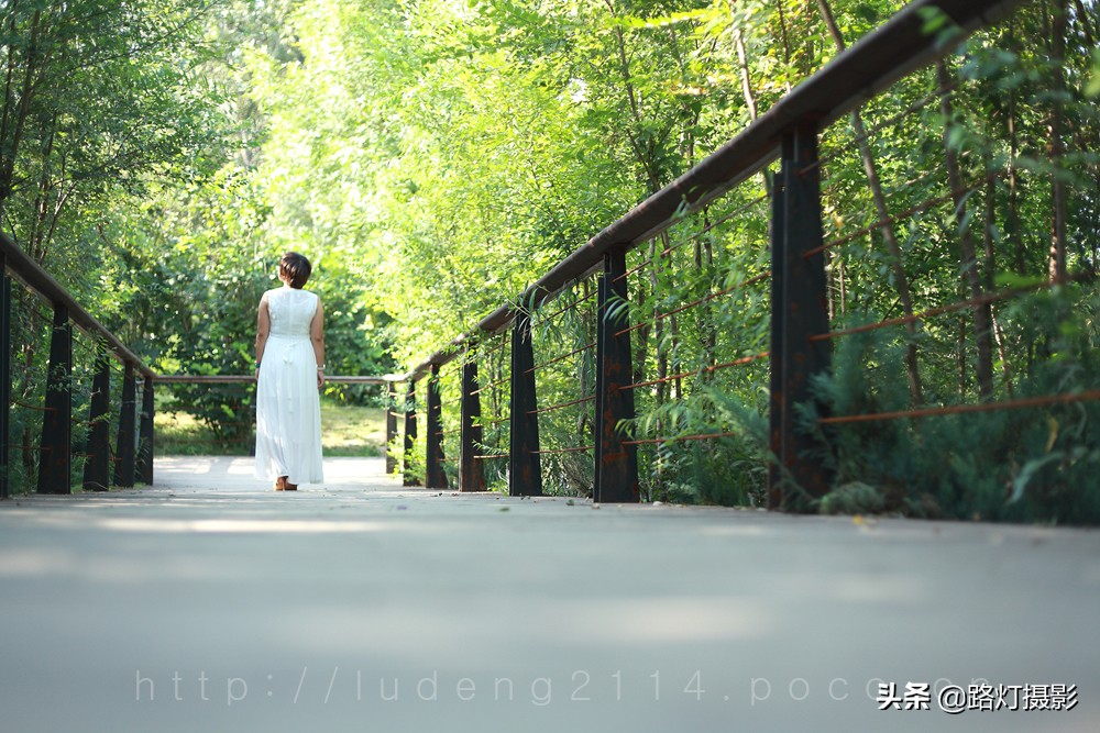 国内桑拿天气城市排行,中国城市冬天高温排名