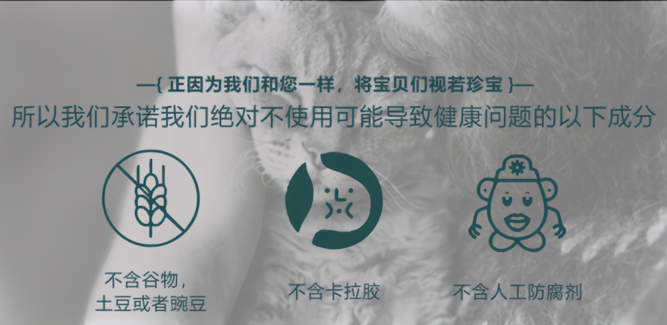 猫罐头里的胶哪些有害,猫咪罐头里面的胶可以吃吗