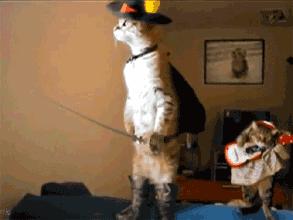 扒一扒各健身器材,扒一扒十年以来的减肥经历