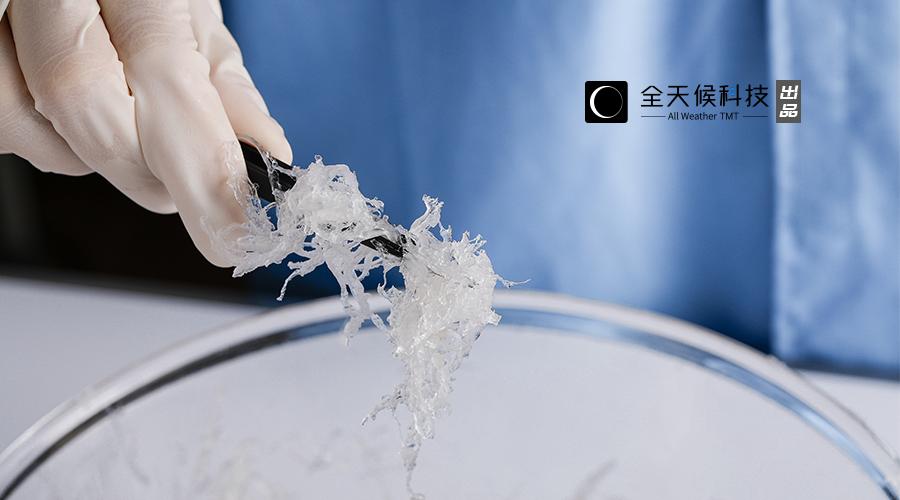 燕窝的惊世骗局,燕窝经营内幕