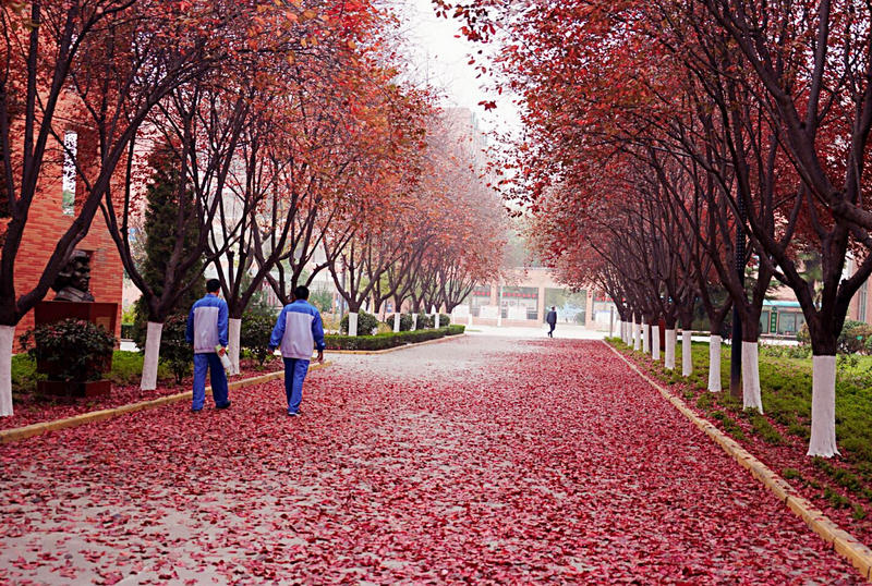 宝鸡中学学校咋样,宝鸡中学简介