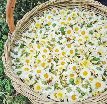 四个聚焦助力脱贫攻坚,脱贫攻坚一达标两不愁三保障