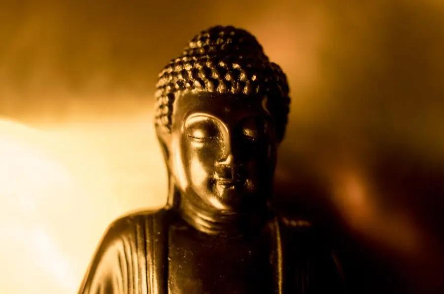 佛教徒为什么不吃香菜,佛教徒吃素能吃香菜吗