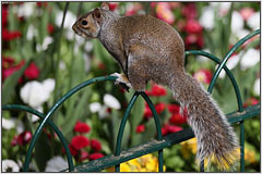 微单相机可以用单反相机镜头吗,相机镜头哪个平台便宜