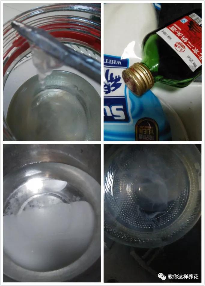 给花浇白醋会怎么样,给花浇营养液后叶子黄了