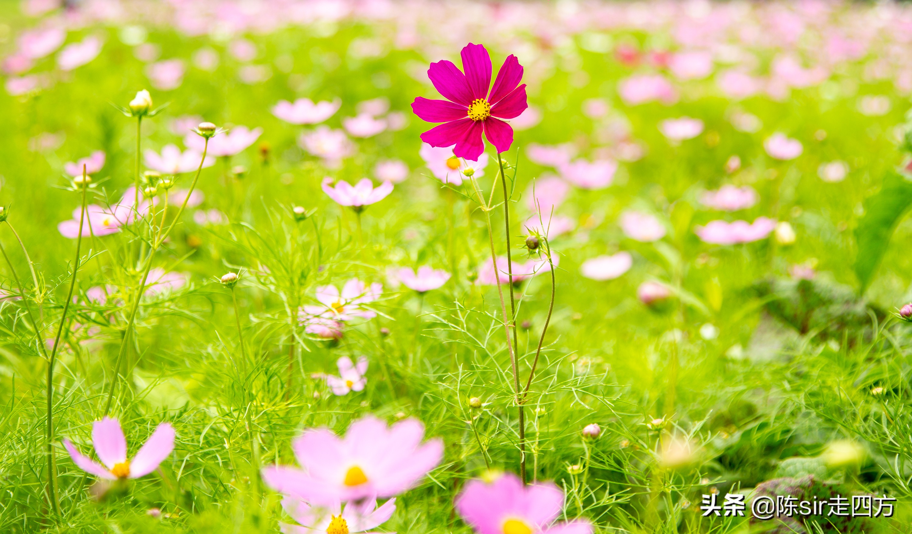 重庆到桐梓自驾游攻略路线,重庆到贵州桐梓三日游最佳路线图