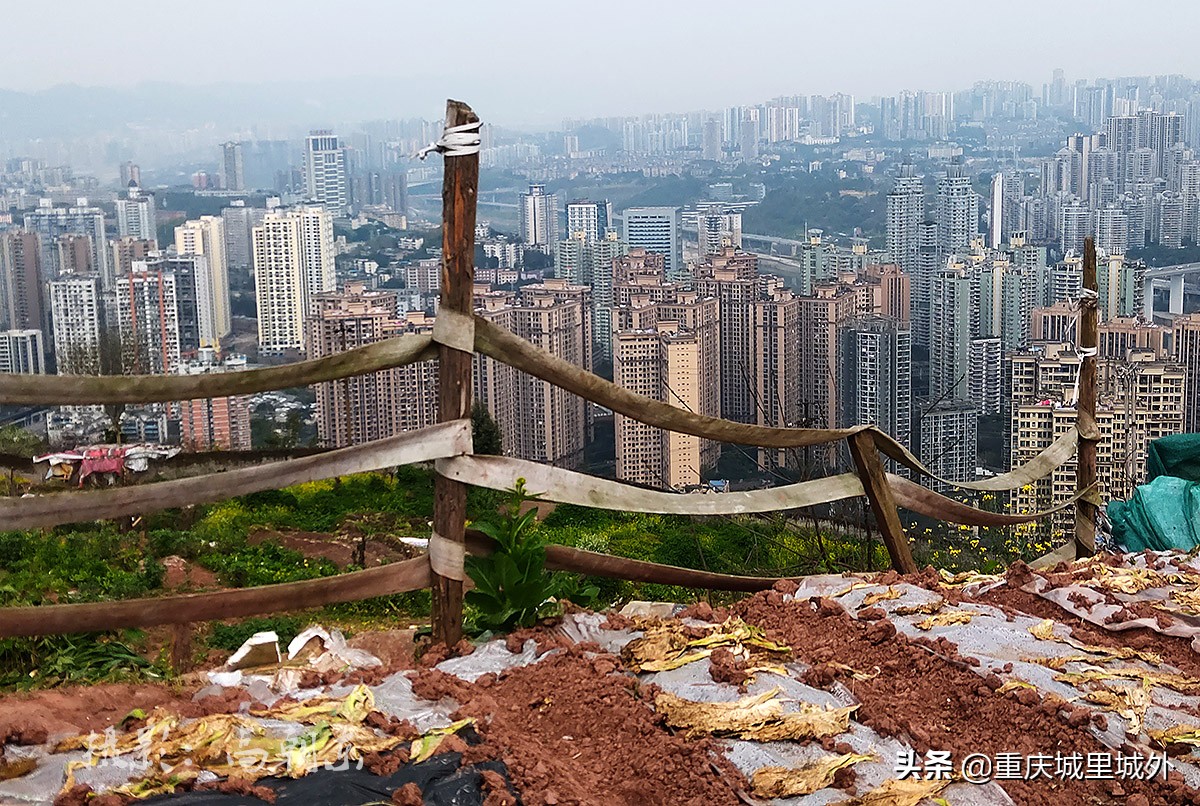 好奇探寻平顶山顶是否“平”，无意发现了渝中区与沙坪坝区的界牌