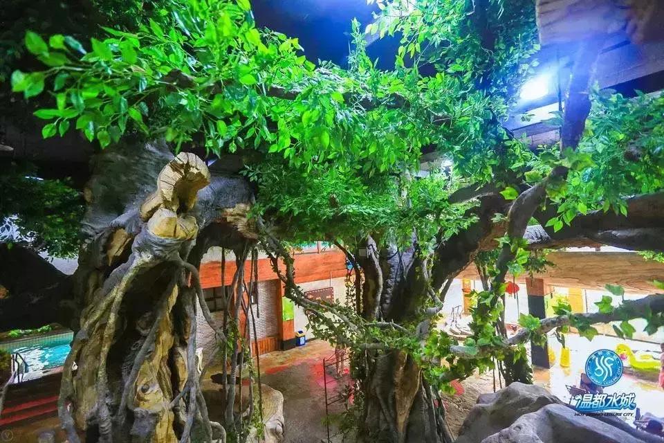 温都水城湖湾酒店标准间,温都水城湖湾酒店攻略