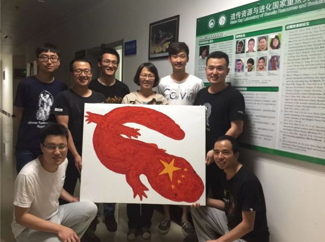 张家界桑植娃娃鱼养殖,桑植哪里有养殖娃娃鱼的