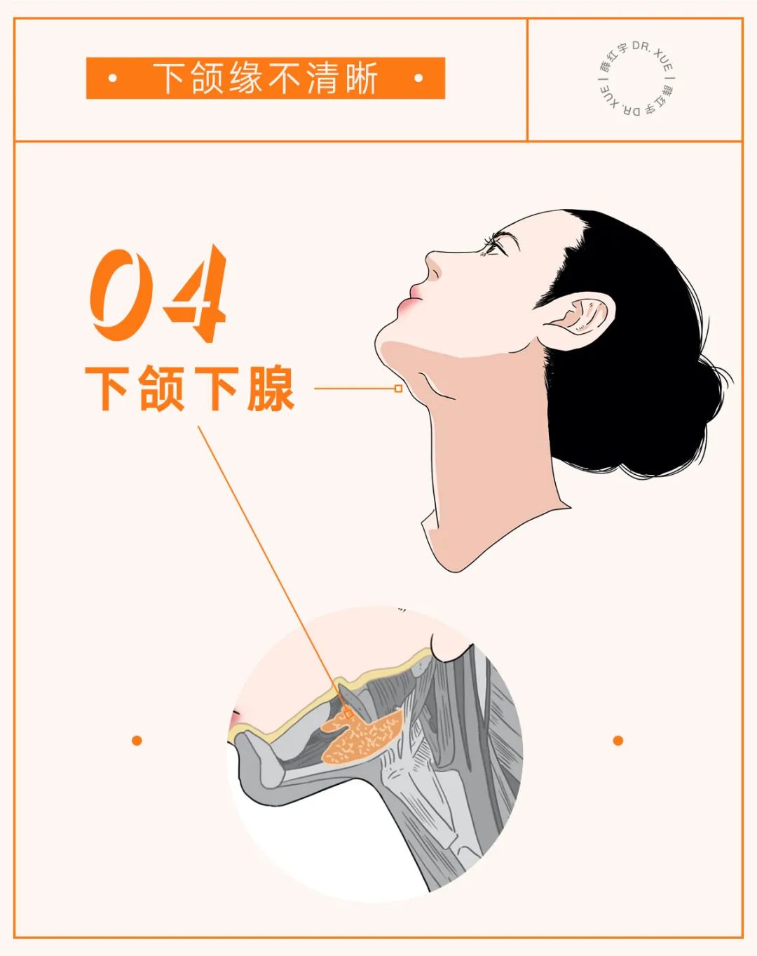 让下颚越来越清晰,下颌缘不清晰的原因