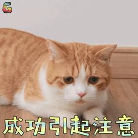 香港最坑人的黑药房,香港黑药房名单查询