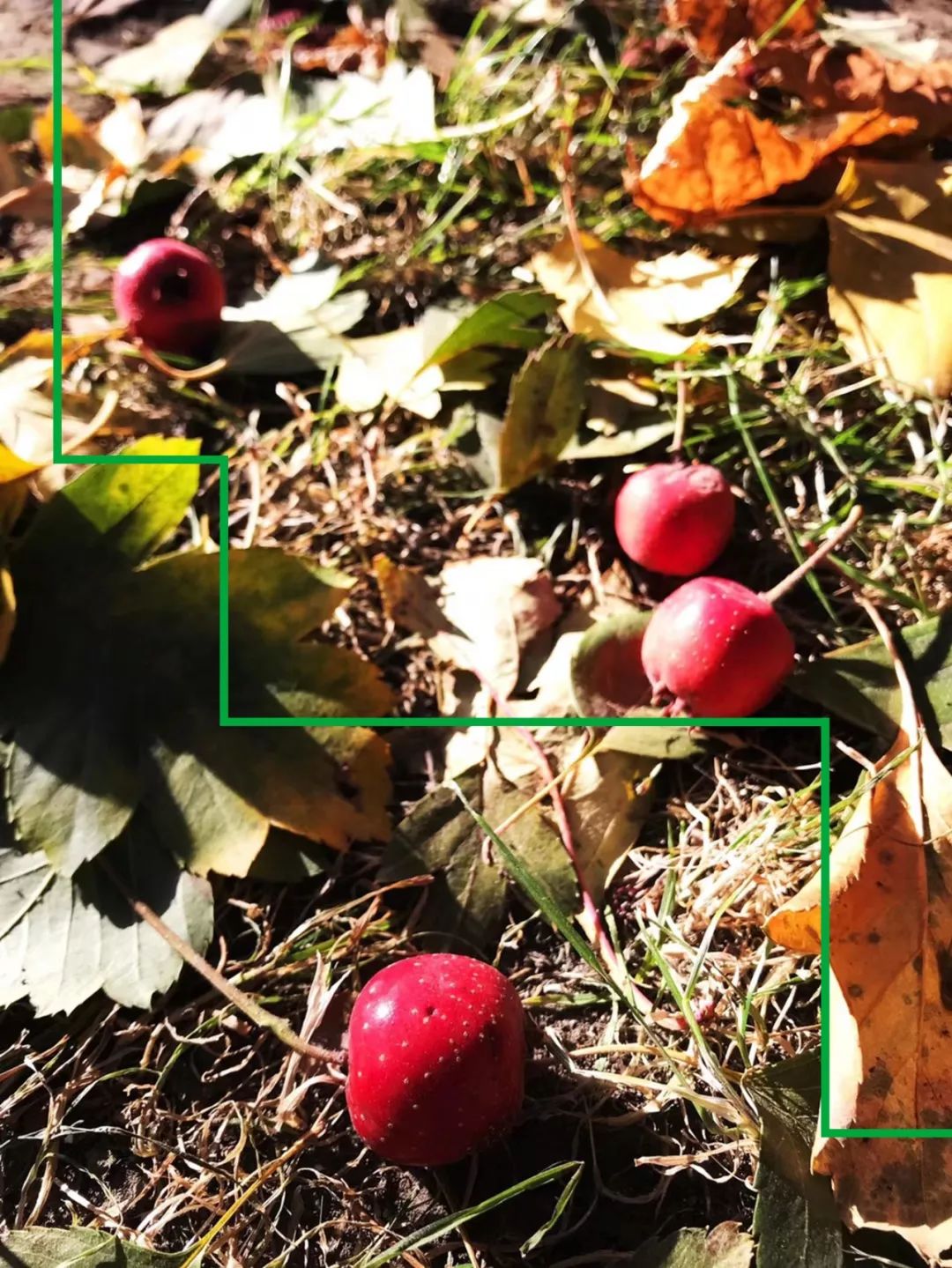 痛苦和悲伤的反义词,痛苦的反义词是不是快活