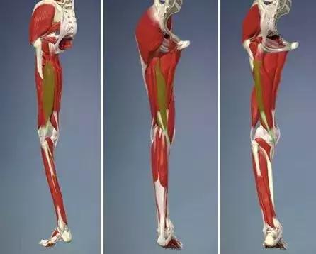 腿筋拉伤是不是腘绳肌拉伤,大腿内侧筋拉伤怎么处理