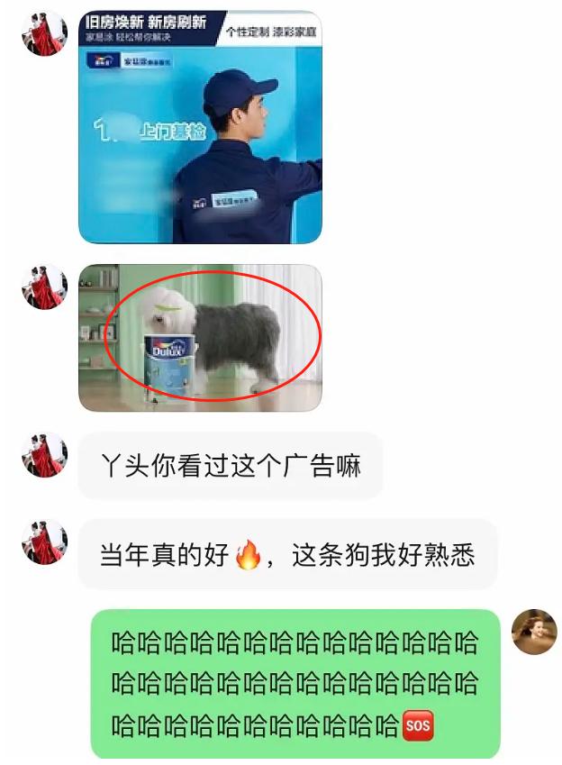 别扒他了，再扒就完犊子了！