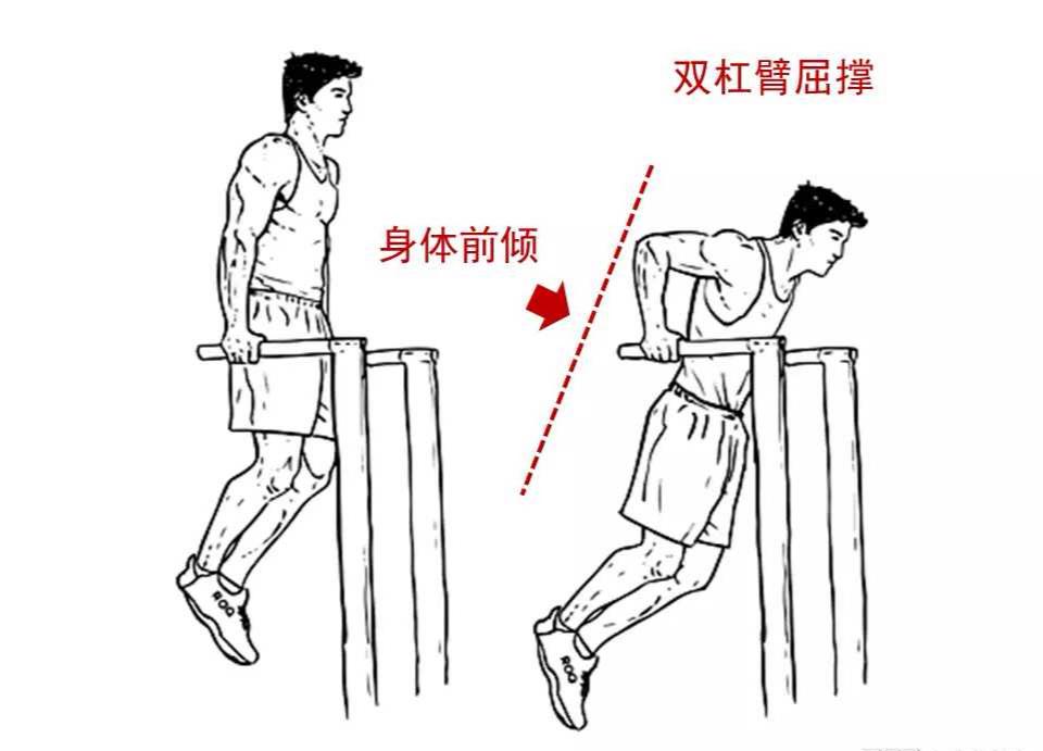 怎么样胸练到位了,如何练好胸型