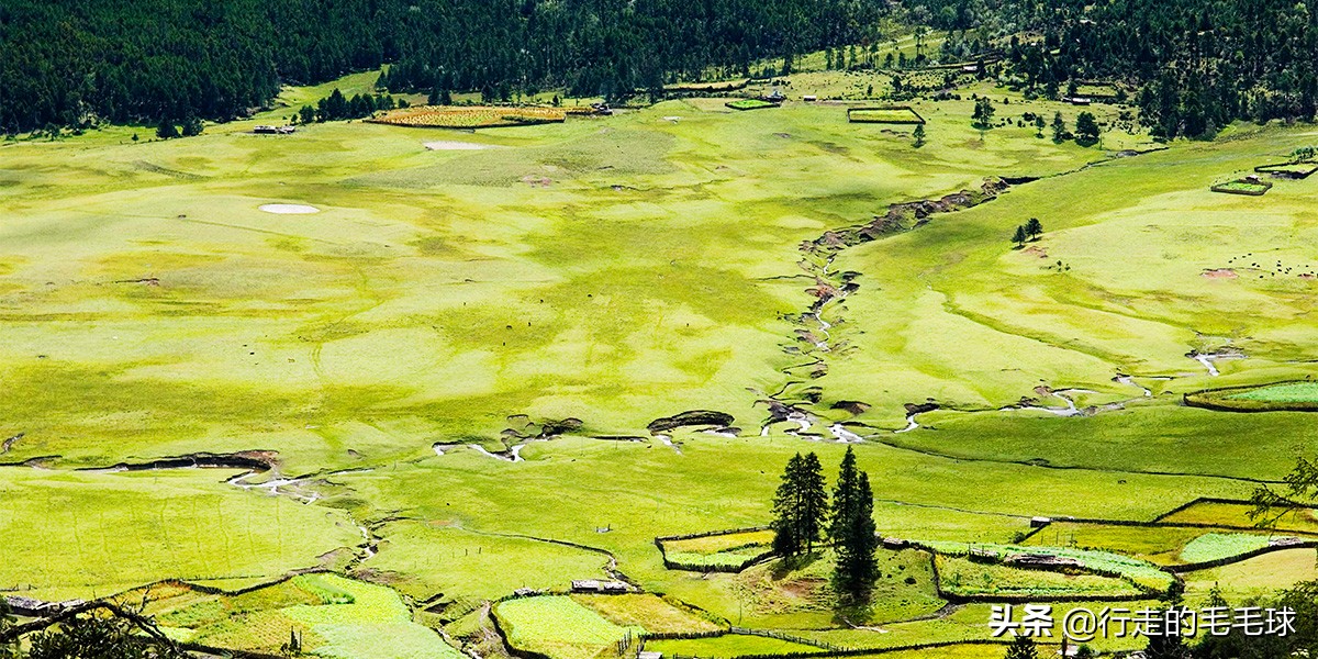 香格里拉最贵的藏式房子,香格里拉的藏式民居