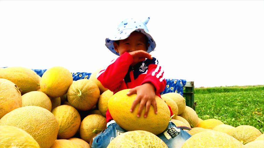 2023中国品牌价值评价信息榜,最畅销品牌喜报