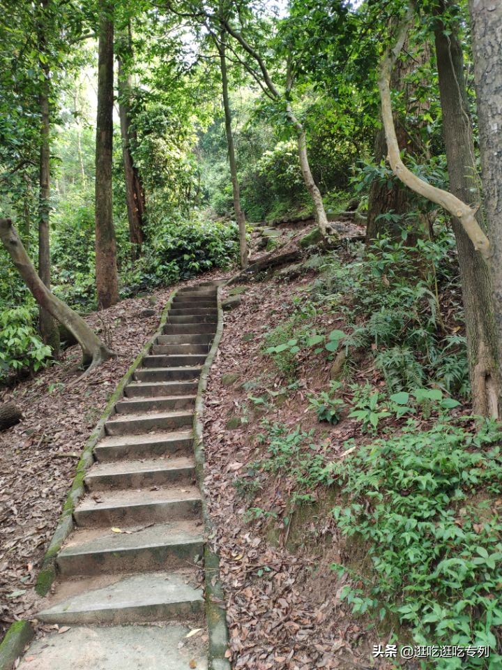 广州火炉山从哪个门口进去最好玩,广州火炉山值得去吗