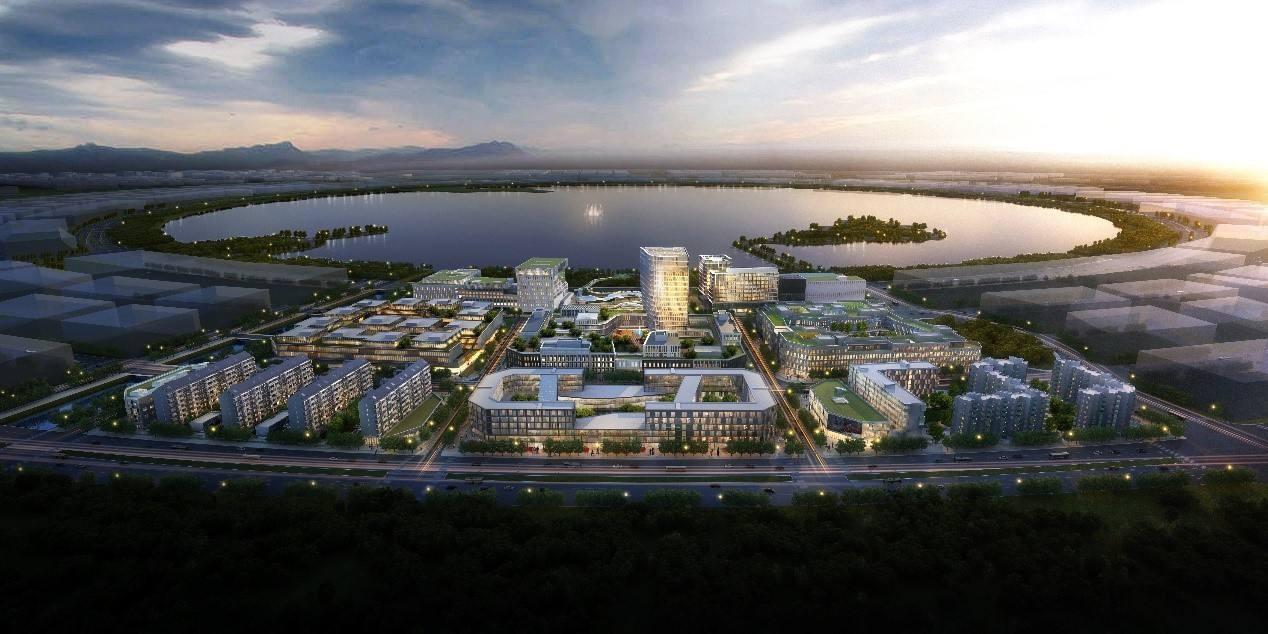 上海浦东新区临港新城镇,上海浦东临港的发展