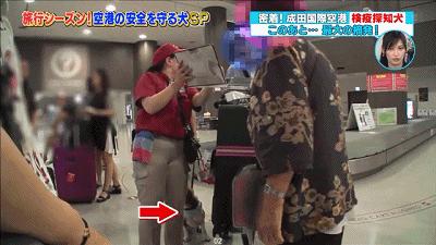 简化签证需要什么手续,简化签证制度吸引游客