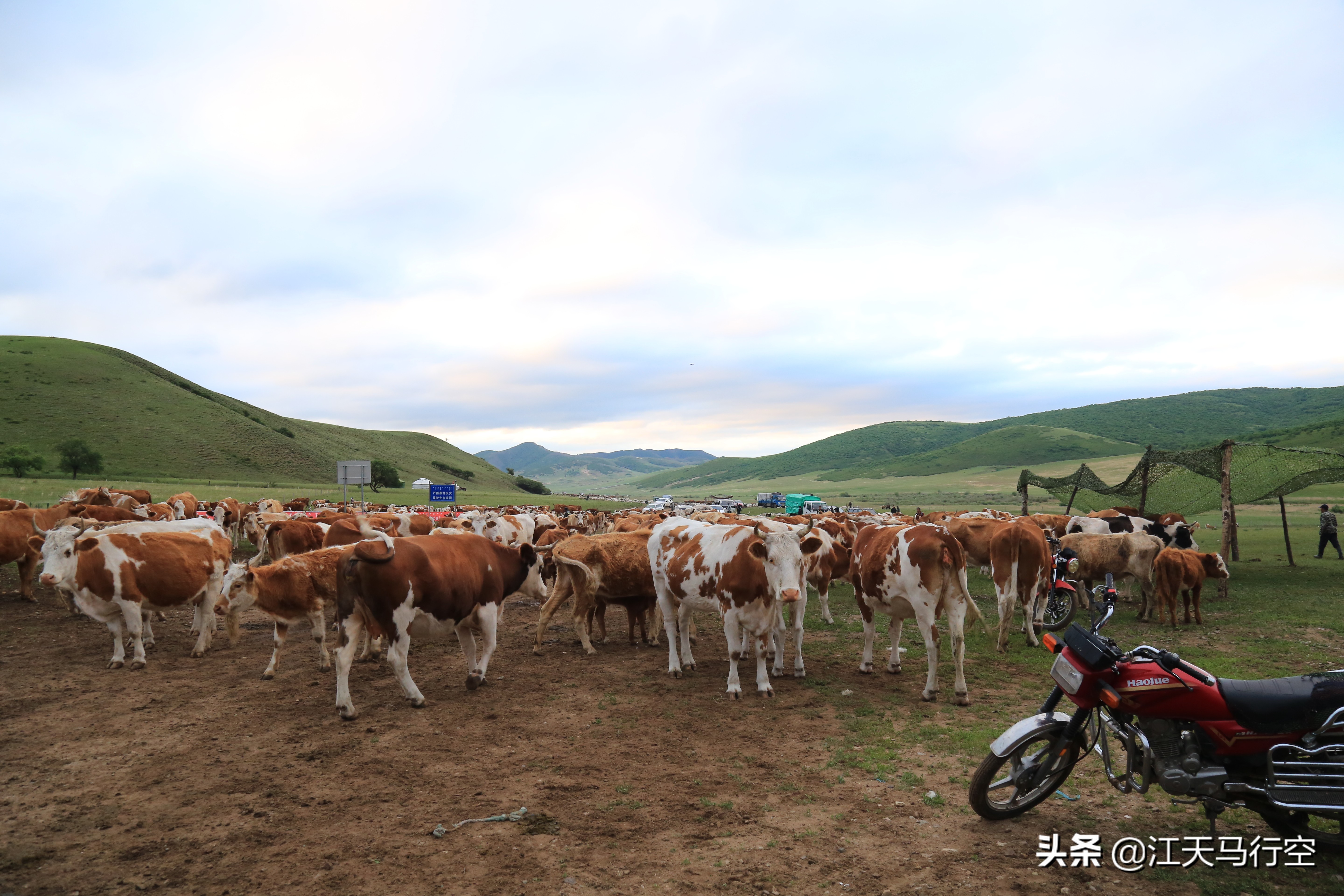 内蒙古草原与国家公园,内蒙古的草原自然公园