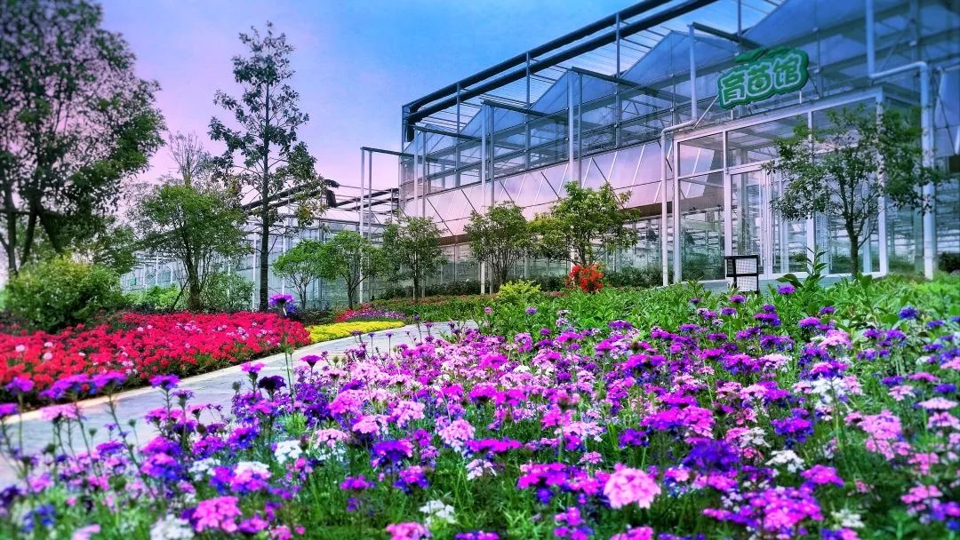 蓝城史诗级田园巨著，或将引领十万武汉人“上山下乡”