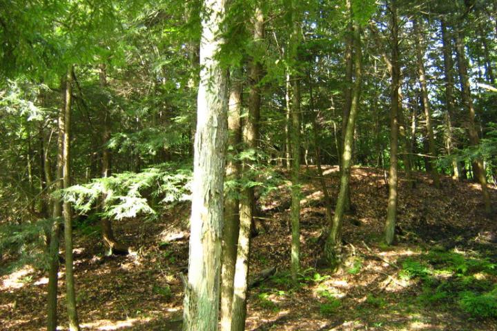 美军迷彩服大全详解,美军迷彩服一览表