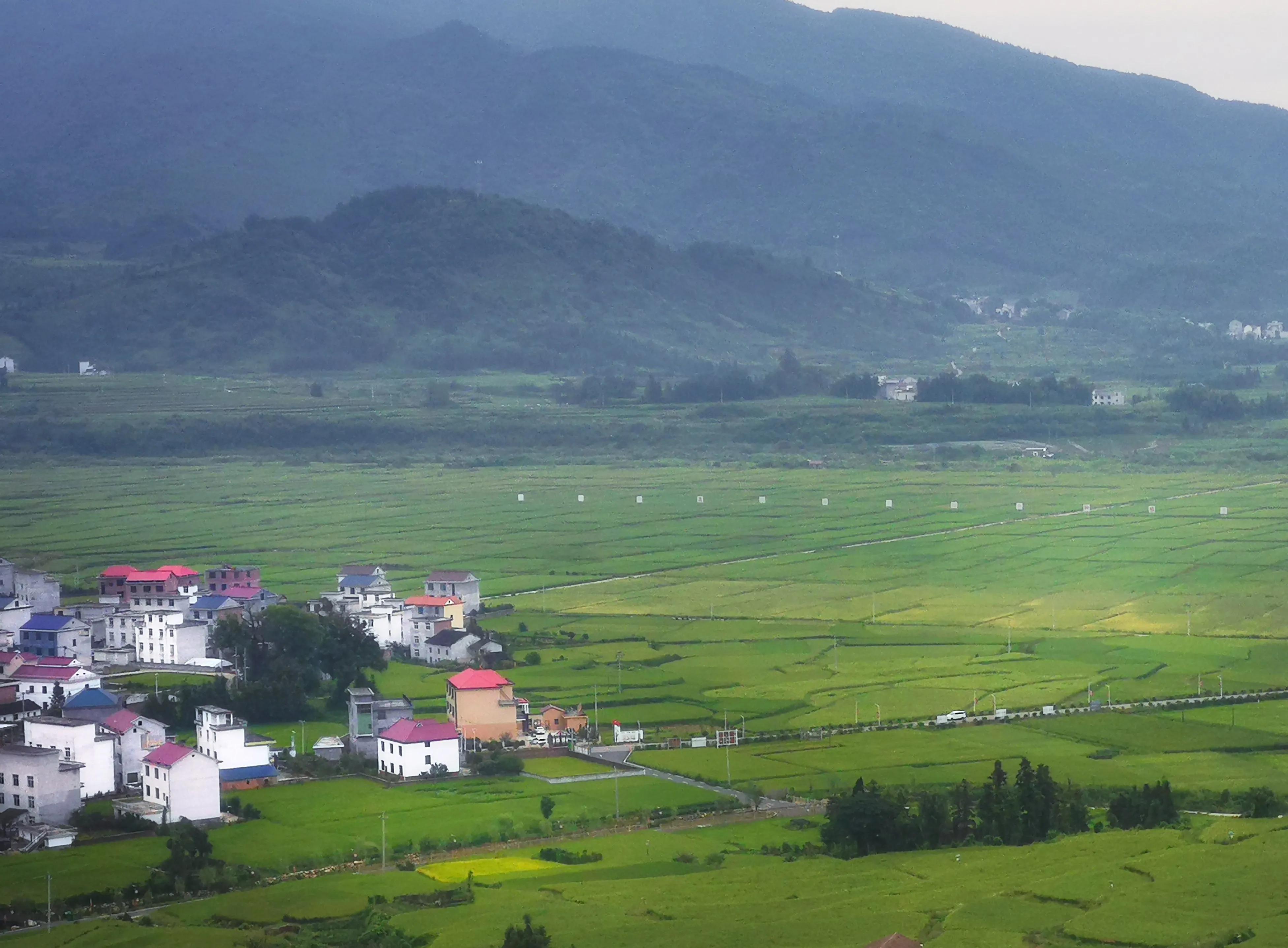 你会去莲花玩吗？我找到了3个“趣味点”，玩了一次跟着喜欢走