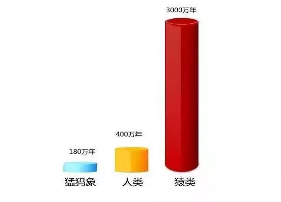 猛犸牙时间久了纹路没了 (猛犸牙时间久了会怎样)