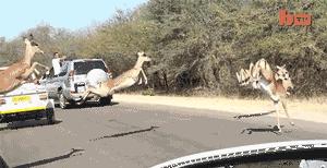 球不是这样踢滴搞笑图片,足球趣图搞笑图片