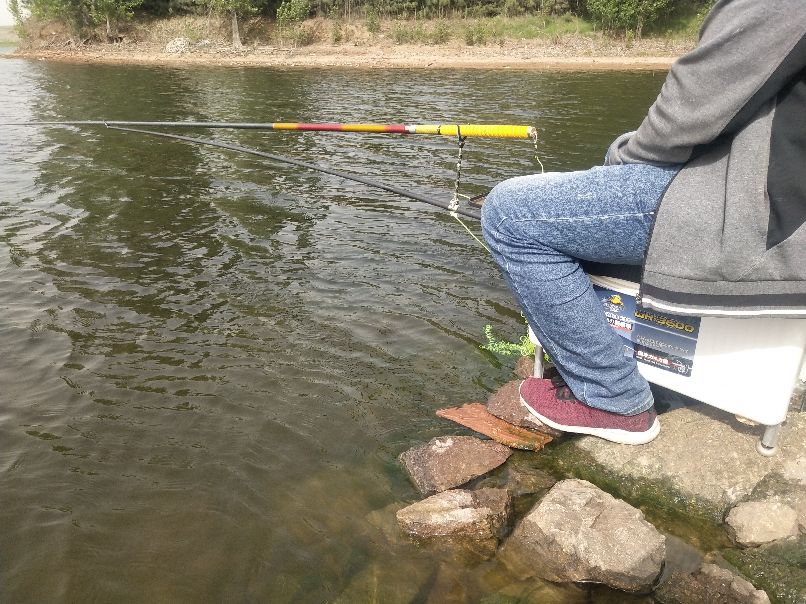 钓翘嘴和草鱼的正确方法与技巧,玉米粒夜钓鲤鱼草鱼方法及技巧