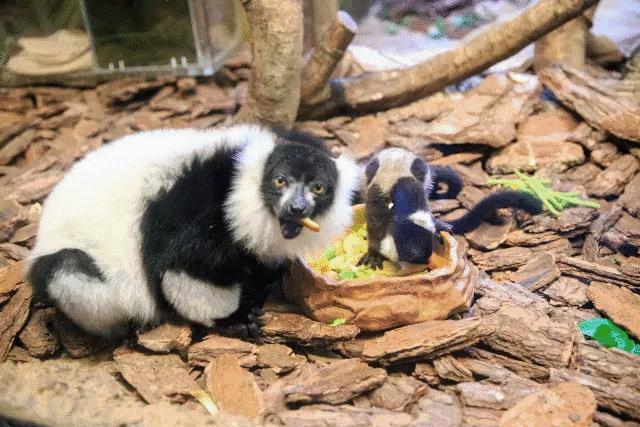 2020广州三八节免费景点,广州三八节哪些景点公园免费