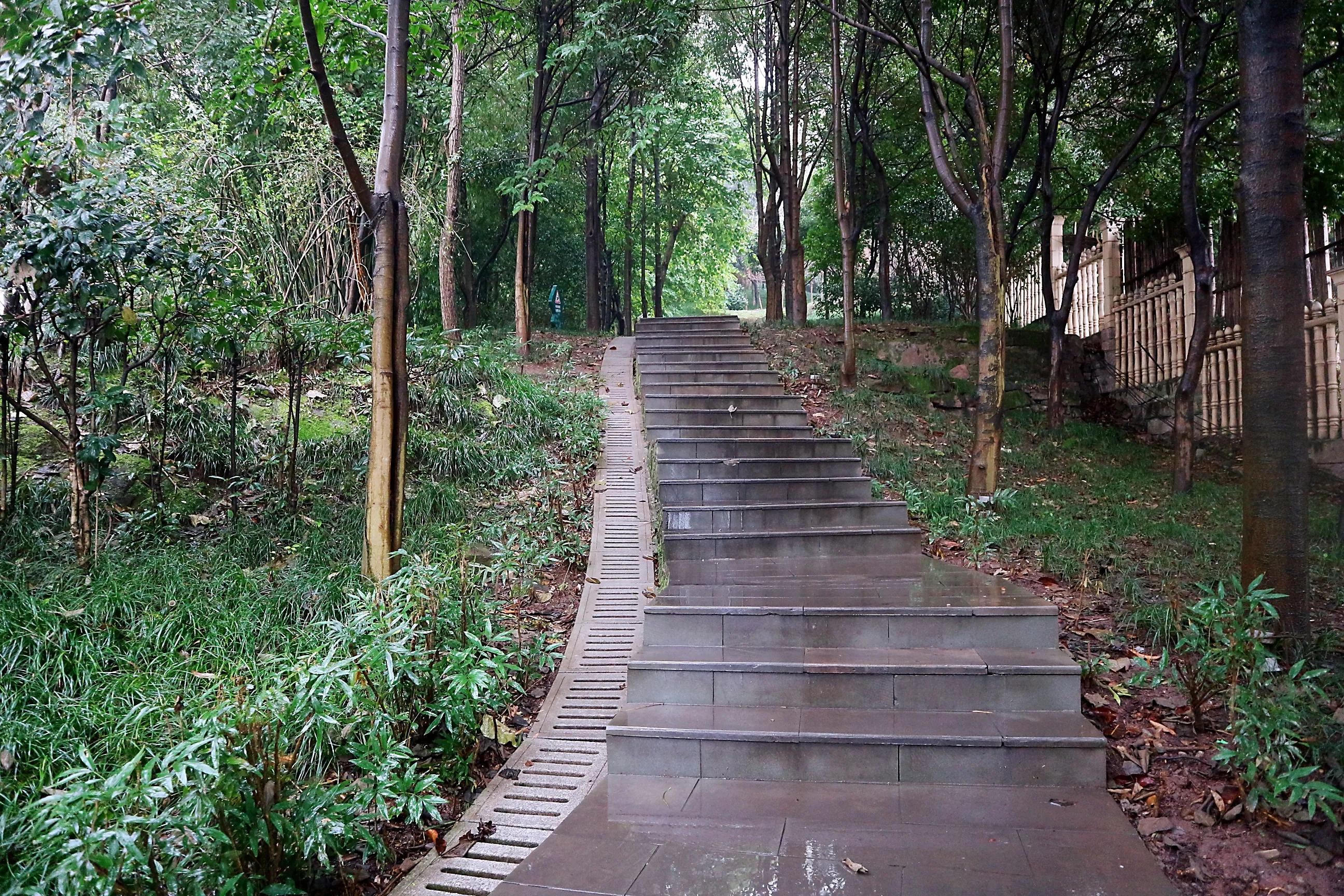 巴南区鱼洞老街公园仿古建筑群,巴南鱼洞老街历史