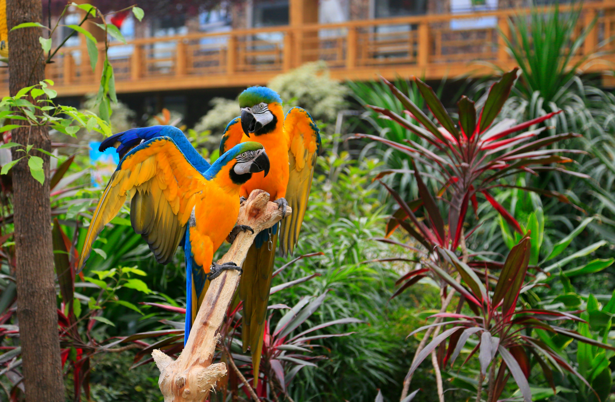 北京最大户外温泉,北京面积最大的温泉