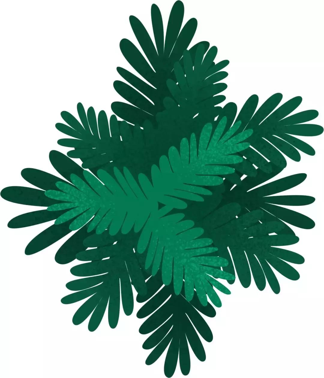 苏州南医大口腔医学专家团,吉大口腔专家出诊表