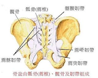 经常腰痛肩痛是怎么回事,经常腰痛腹部痛是什么原因