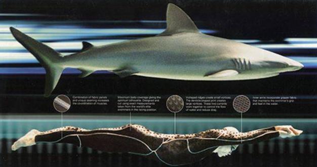 为什么鲨鱼皮泳衣特别难穿,鲨鱼皮泳衣创造的纪录有效吗