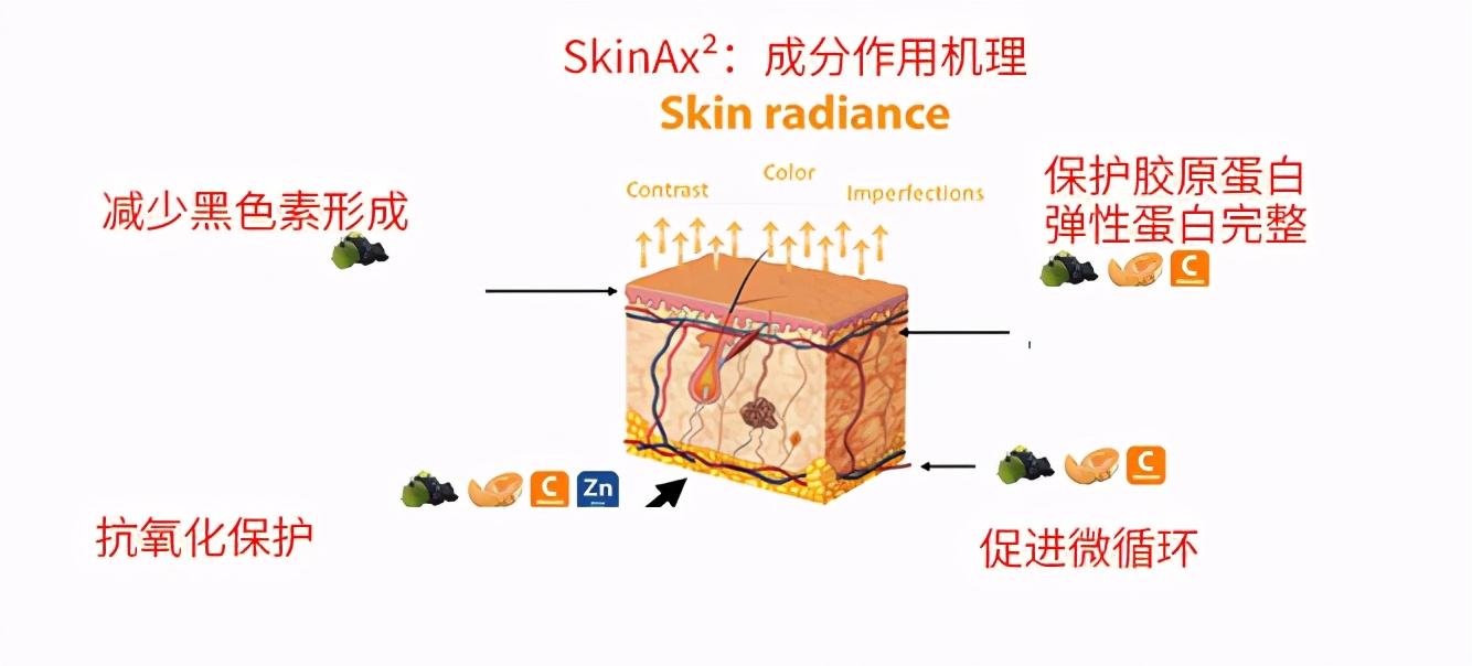 葡萄籽胶原蛋白淡斑,平价美白葡萄籽