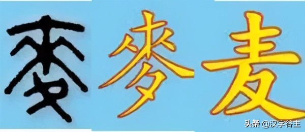 汉字由什么演变而来的,汉字从何演变而来