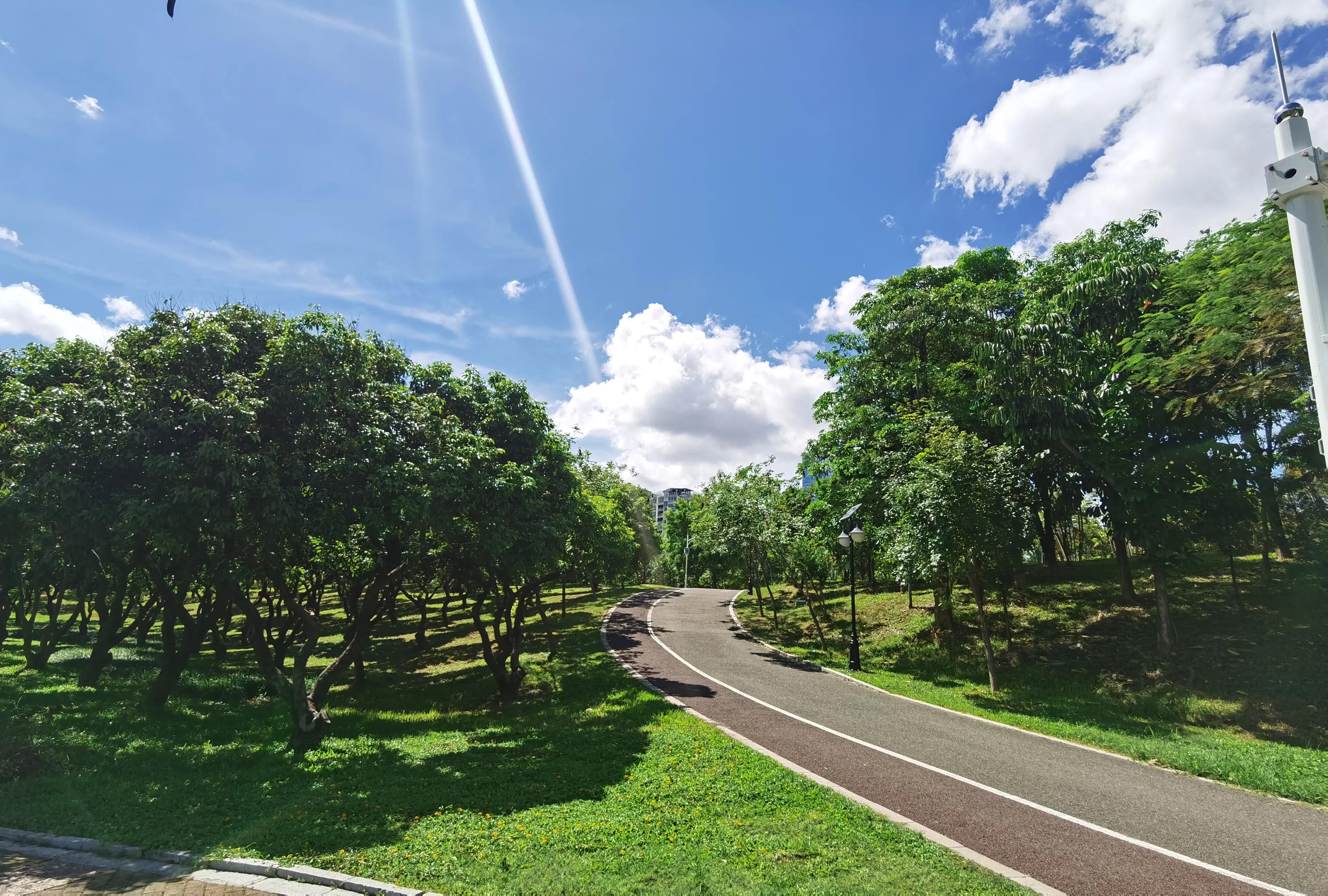 笔架山公园福田河,深圳笔架山福田河图片