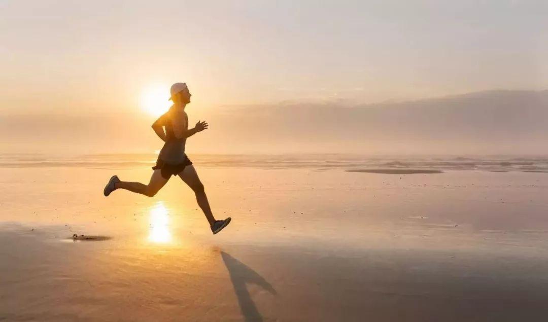 内脏脂肪为什么那么难减,内脏脂肪高吃什么减脂快