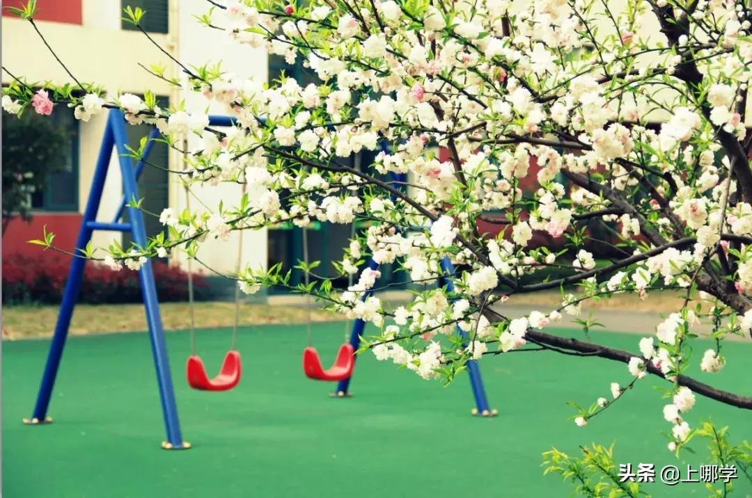 杨浦区小学对口地段,杨浦2022小学招生对口地段