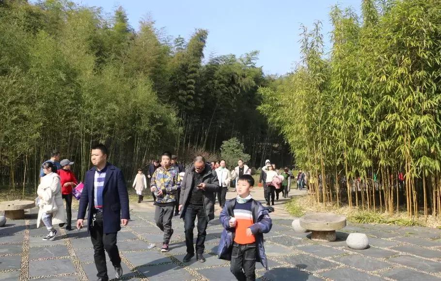 今天,我在宜兴竹海,过传统春节,沾福气满满!