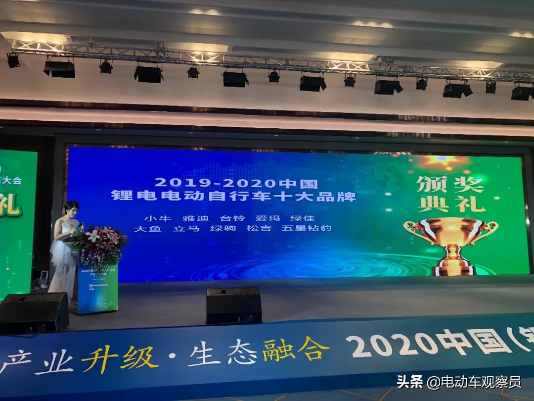 大鱼智行折叠电动车,大单体锂电电动自行车推荐