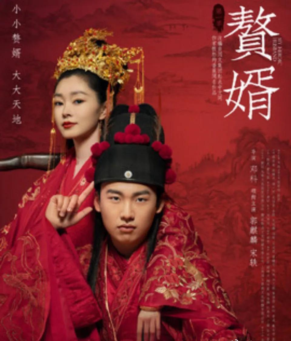 如何评价赘婿的结尾,如何看待赘婿类型小说