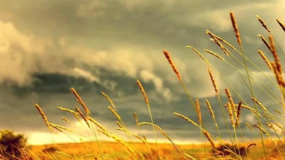 针灸探秘全集,致命穴位针灸